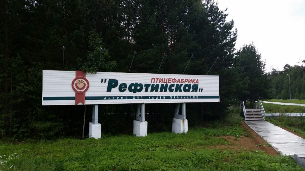 Крупнейшая на Урале птицефабрика оказалась на грани закрытия